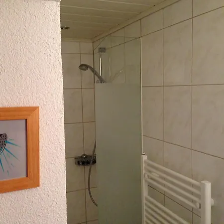Haus Steissbach 아파트 *